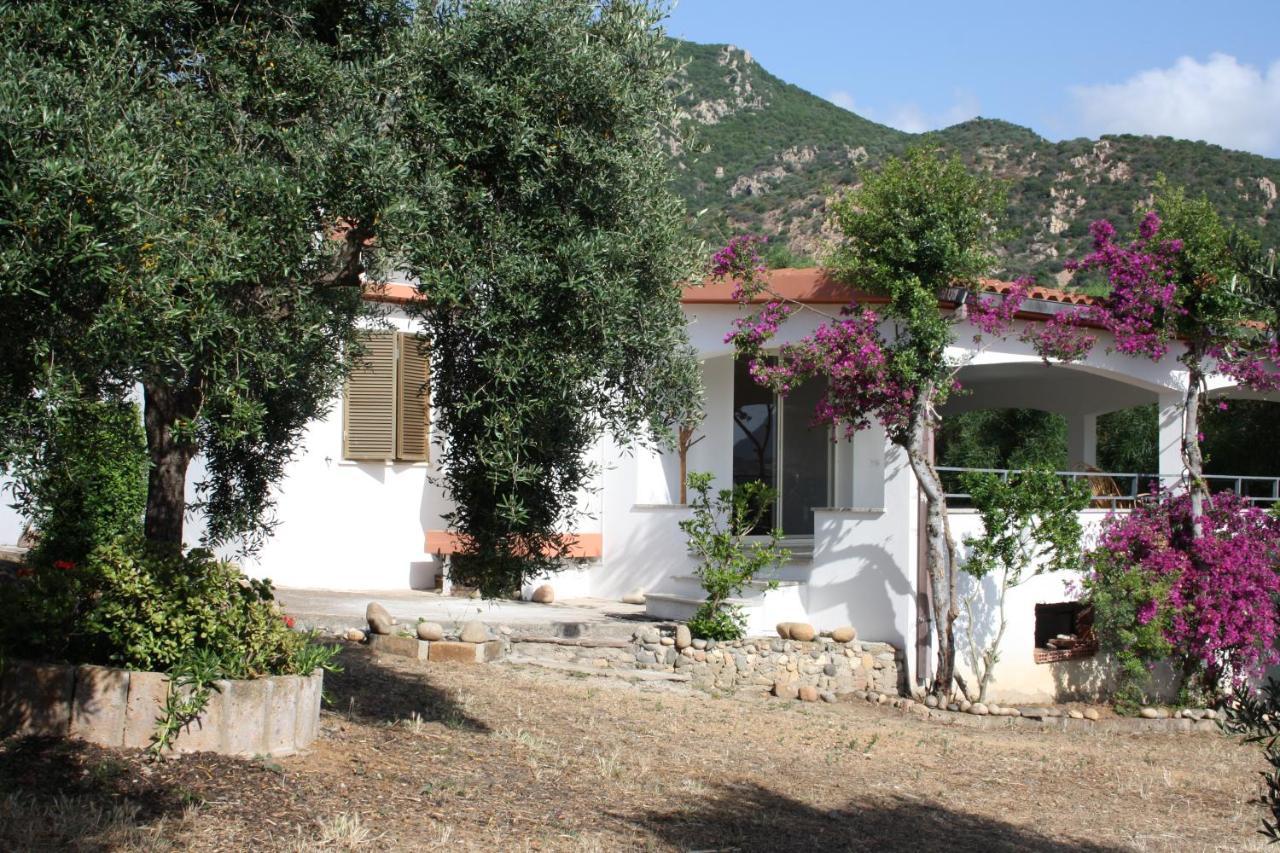 Vacanza in Ogliastra Tertenìa Esterno foto