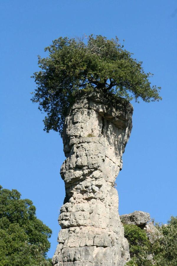 Vacanza in Ogliastra Tertenìa Esterno foto
